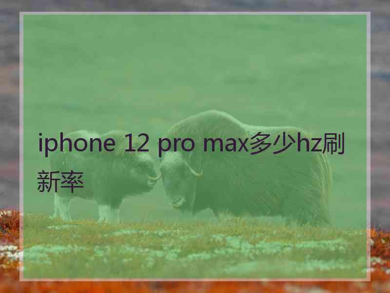 iphone 12 pro max多少hz刷新率