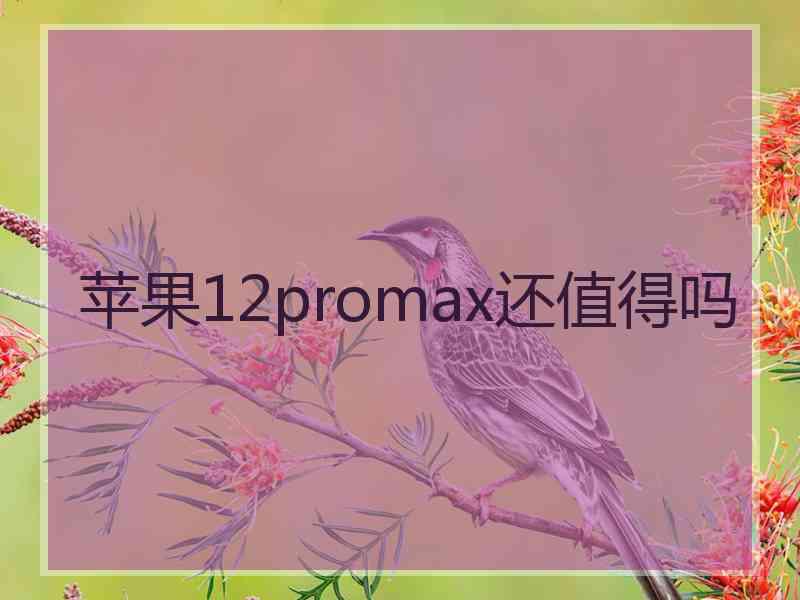 苹果12promax还值得吗