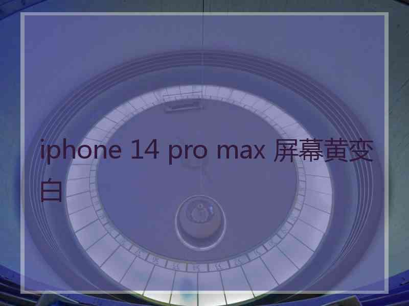 iphone 14 pro max 屏幕黄变白