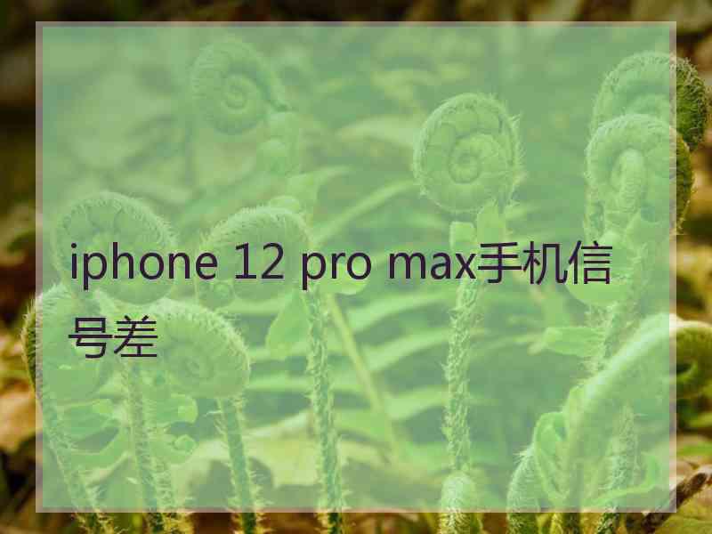 iphone 12 pro max手机信号差