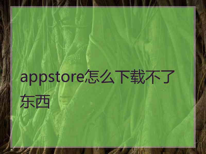 appstore怎么下载不了东西