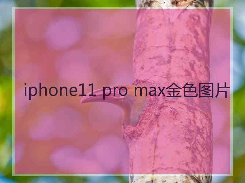 iphone11 pro max金色图片