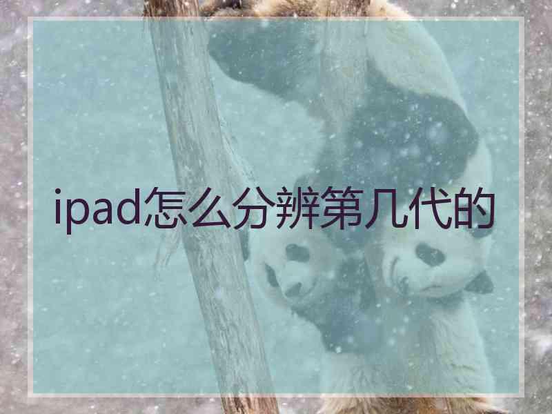 ipad怎么分辨第几代的