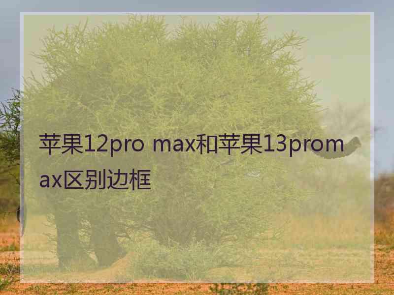 苹果12pro max和苹果13promax区别边框