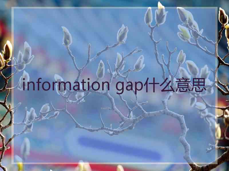 information gap什么意思