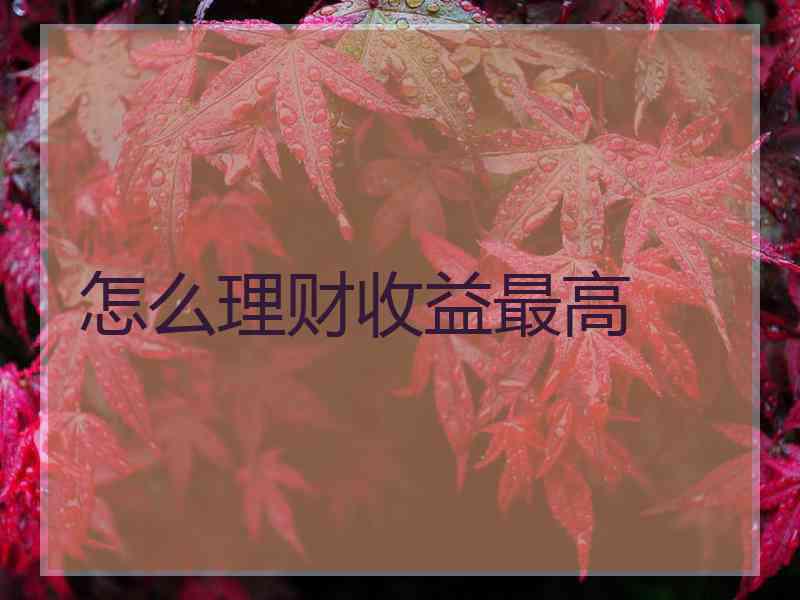 怎么理财收益最高