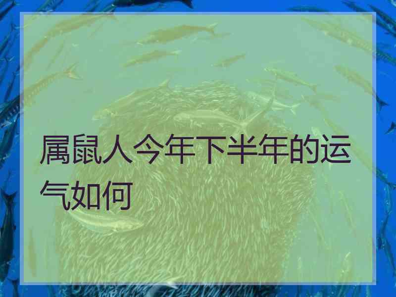 属鼠人今年下半年的运气如何