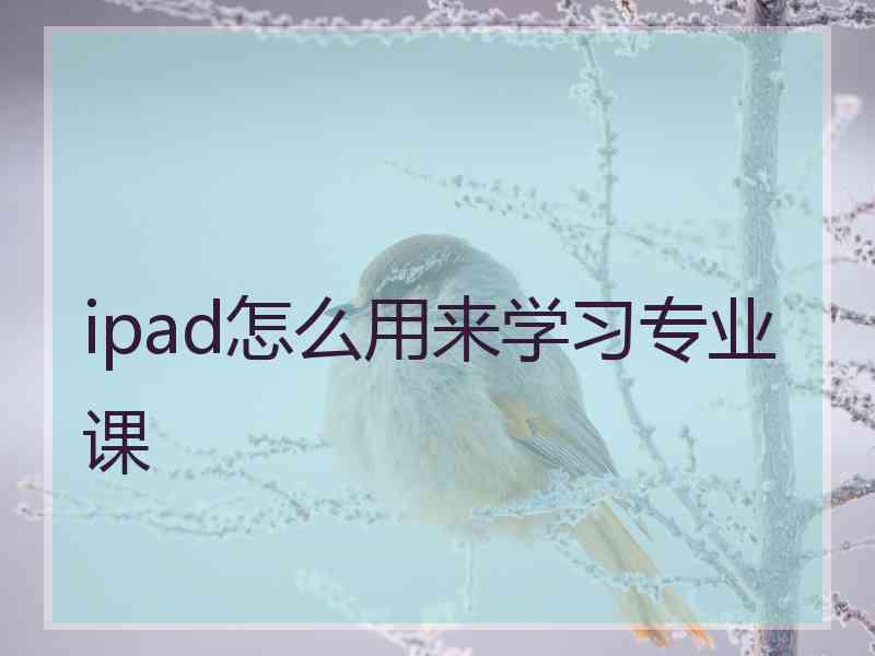 ipad怎么用来学习专业课