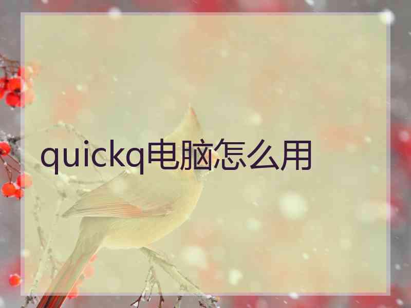 quickq电脑怎么用