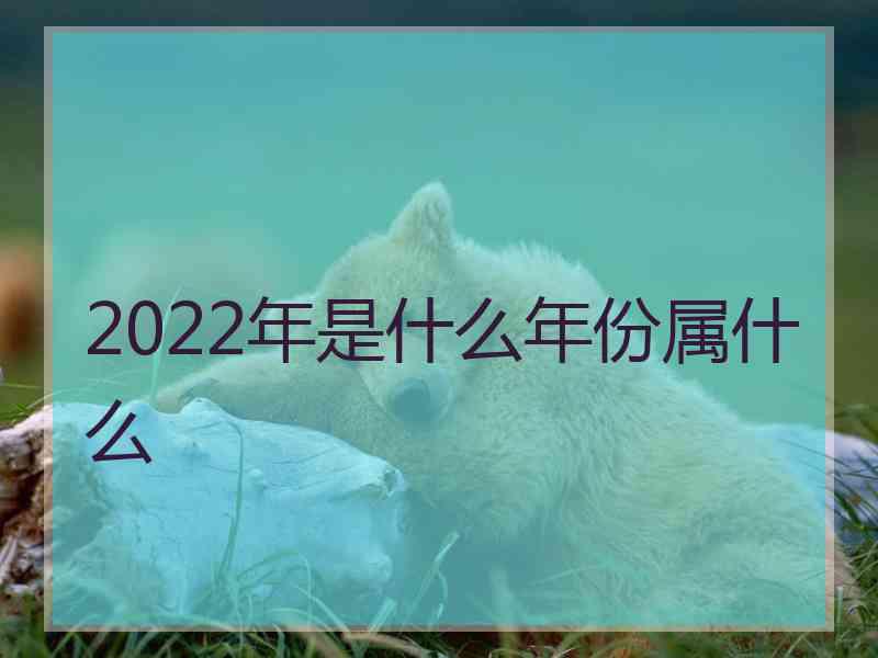 2022年是什么年份属什么