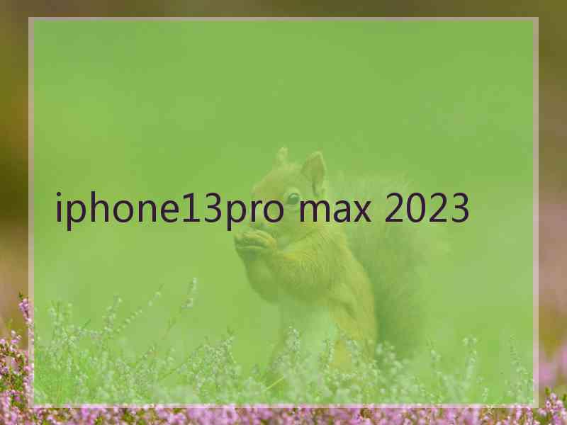 iphone13pro max 2023