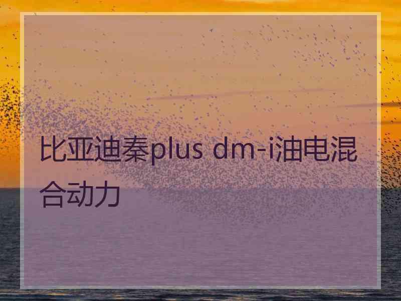 比亚迪秦plus dm-i油电混合动力