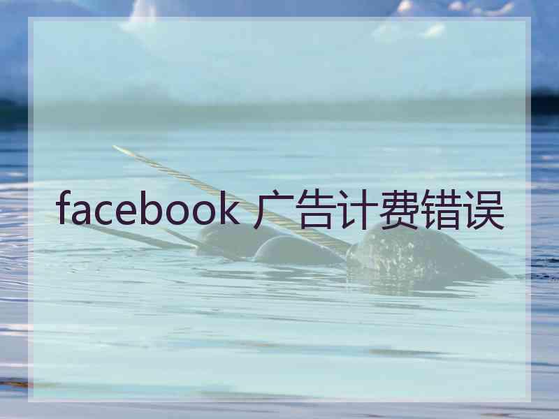 facebook 广告计费错误