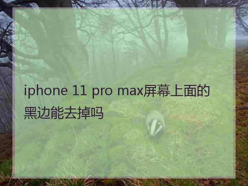 iphone 11 pro max屏幕上面的黑边能去掉吗