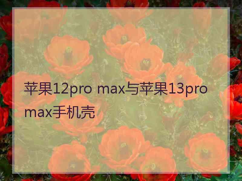 苹果12pro max与苹果13promax手机壳