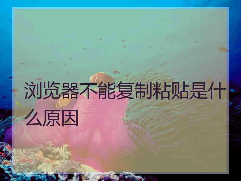 浏览器不能复制粘贴是什么原因