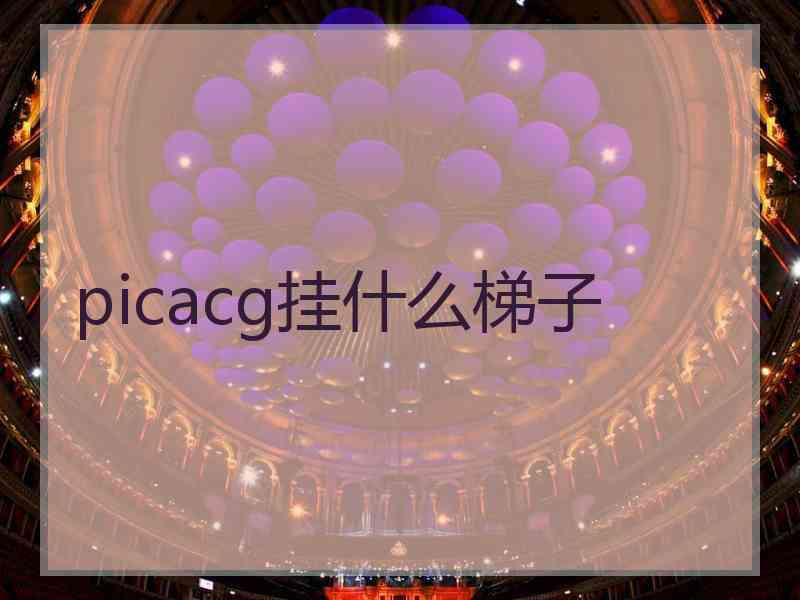 picacg挂什么梯子