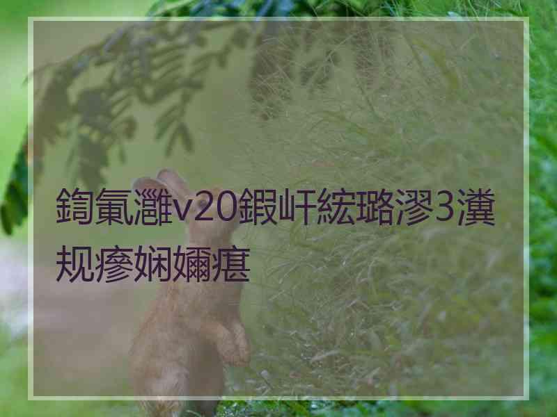 鍧氭灉v20鍜屽綋璐漻3瀵规瘮娴嬭瘎