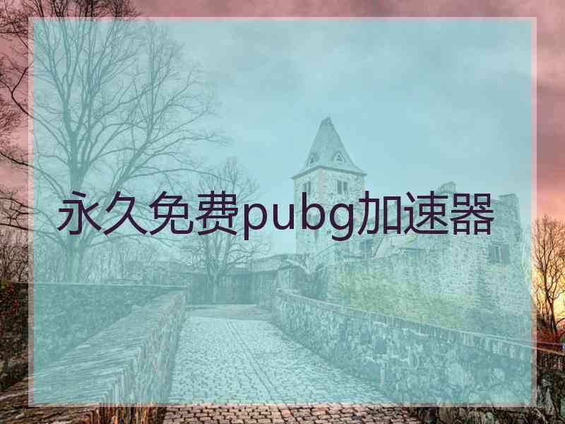 永久免费pubg加速器