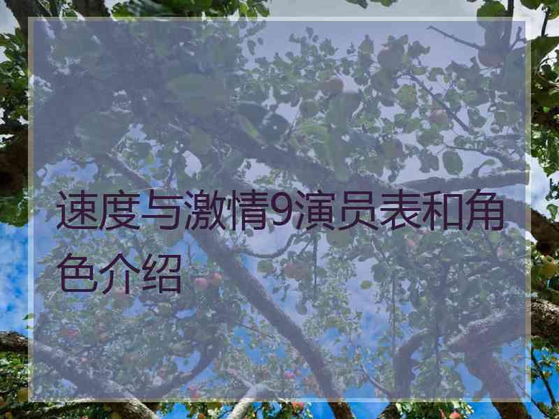 速度与激情9演员表和角色介绍