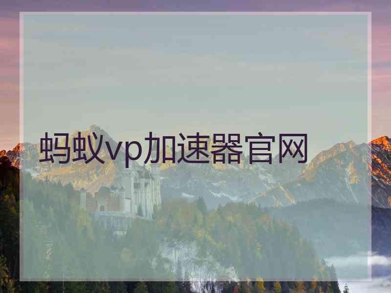 蚂蚁vp加速器官网