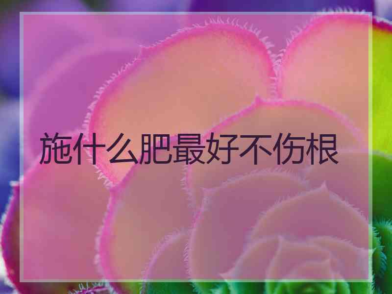 施什么肥最好不伤根