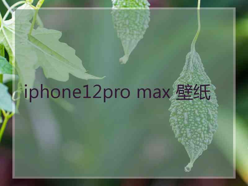 iphone12pro max 壁纸