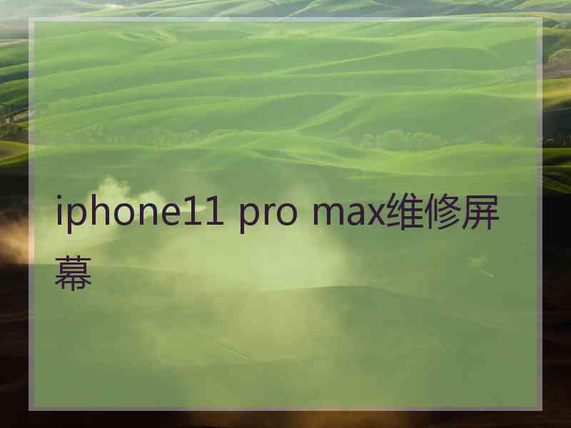 iphone11 pro max维修屏幕