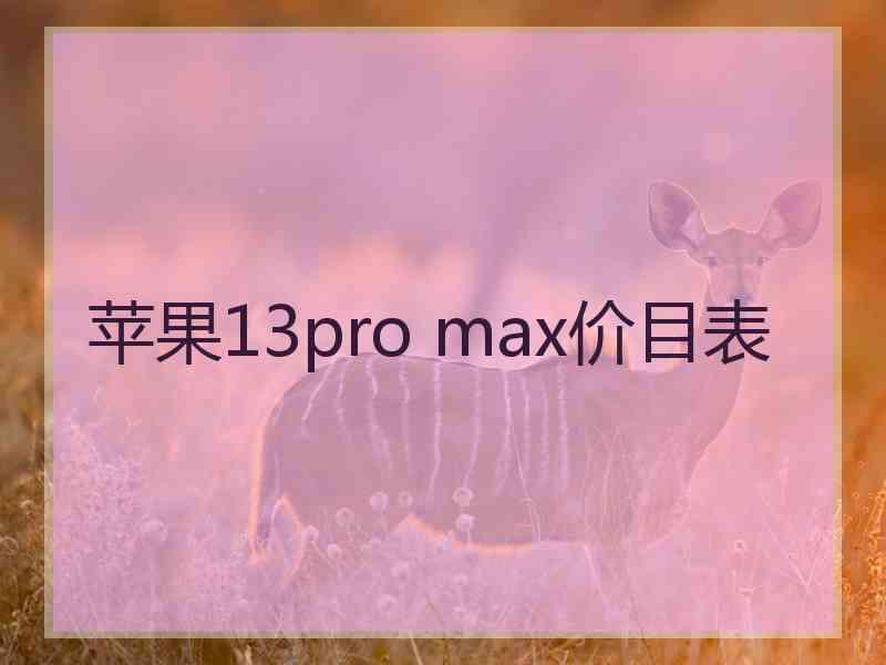 苹果13pro max价目表