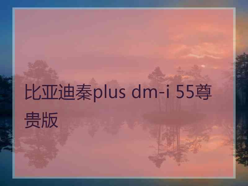 比亚迪秦plus dm-i 55尊贵版