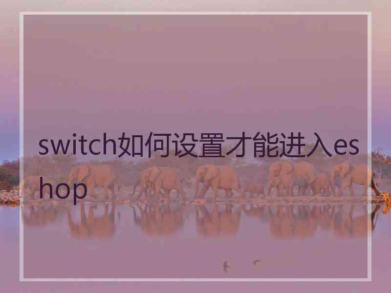 switch如何设置才能进入eshop