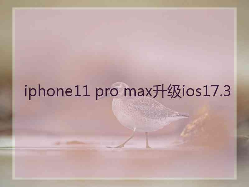 iphone11 pro max升级ios17.3