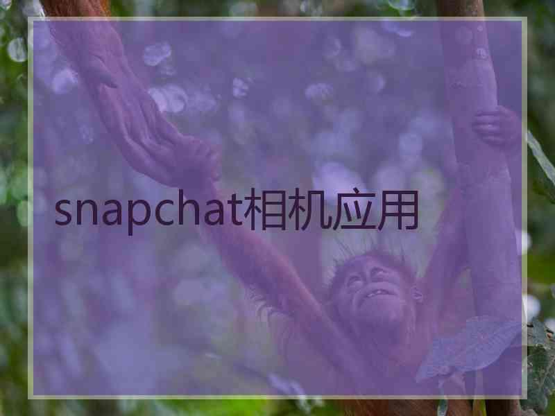 snapchat相机应用