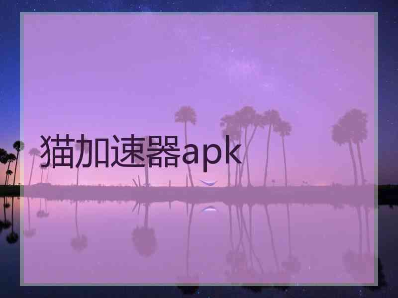 猫加速器apk