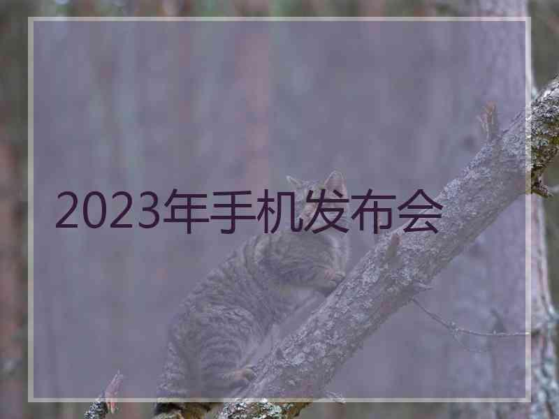 2023年手机发布会