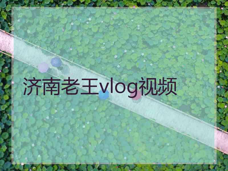 济南老王vlog视频