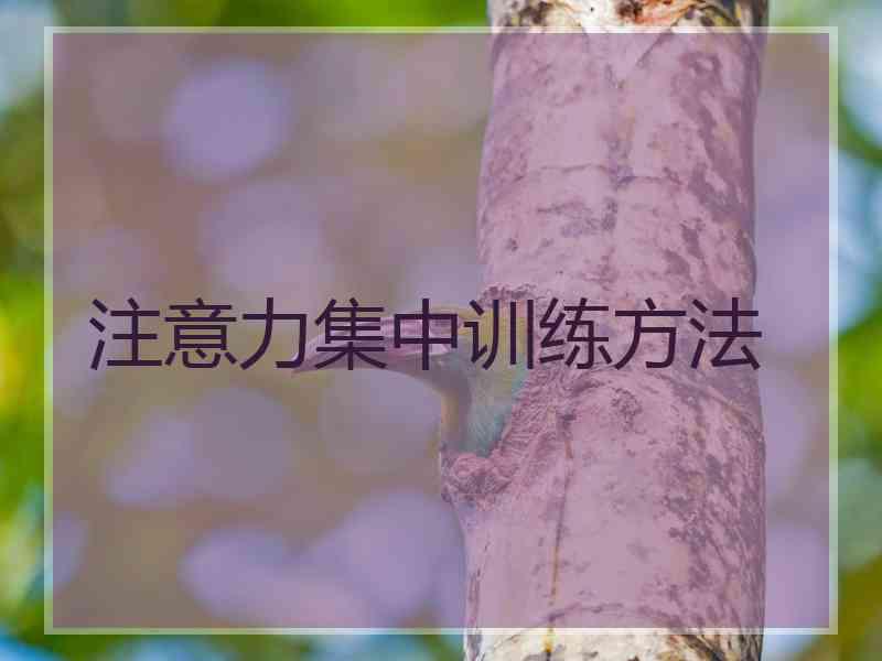 注意力集中训练方法