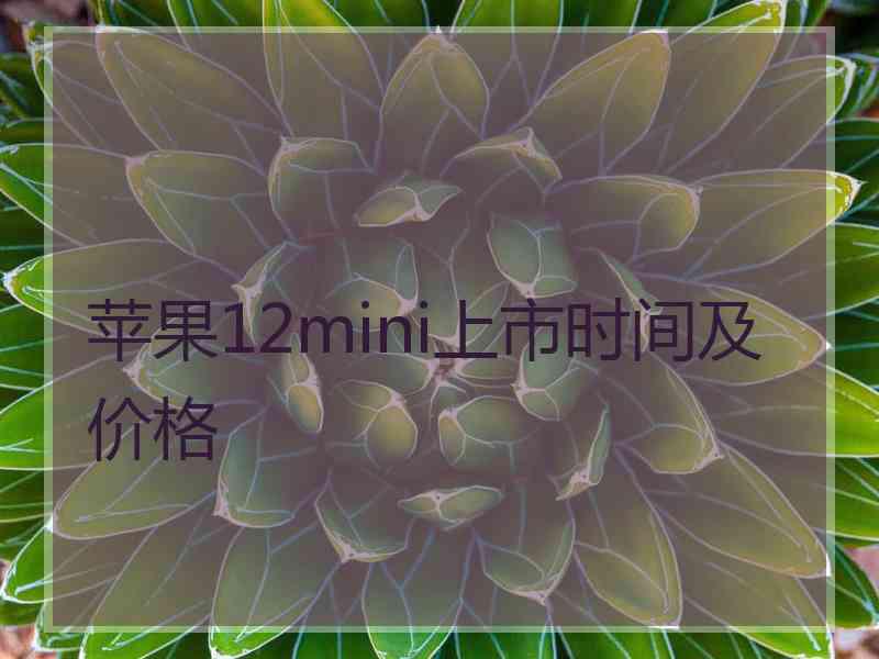 苹果12mini上市时间及价格