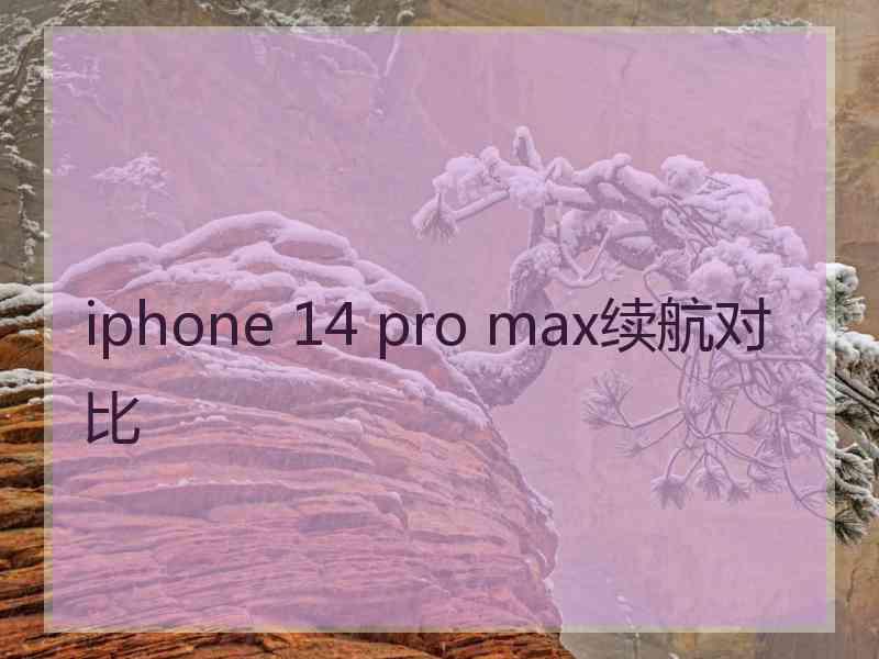 iphone 14 pro max续航对比