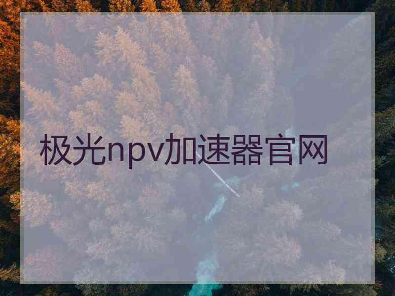 极光npv加速器官网