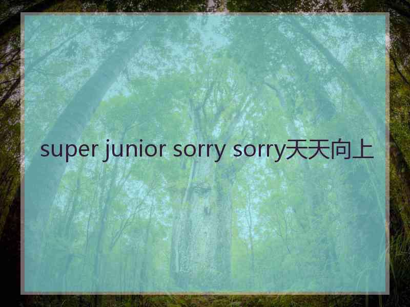 super junior sorry sorry天天向上