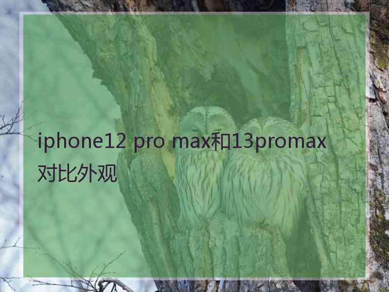 iphone12 pro max和13promax对比外观