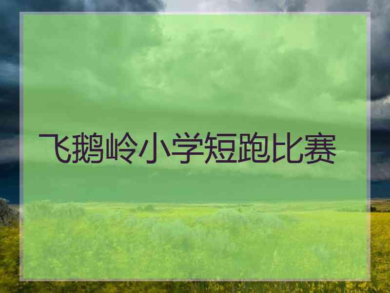 飞鹅岭小学短跑比赛