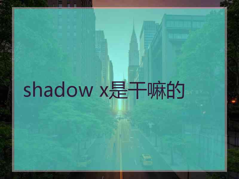 shadow x是干嘛的