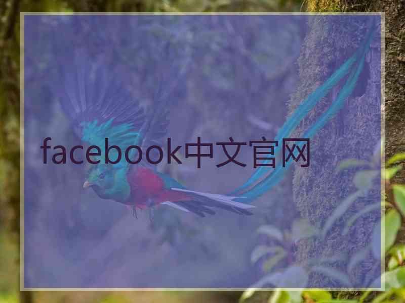 facebook中文官网