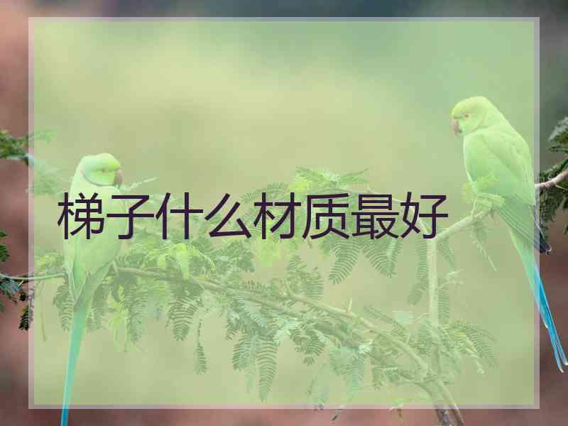 梯子什么材质最好