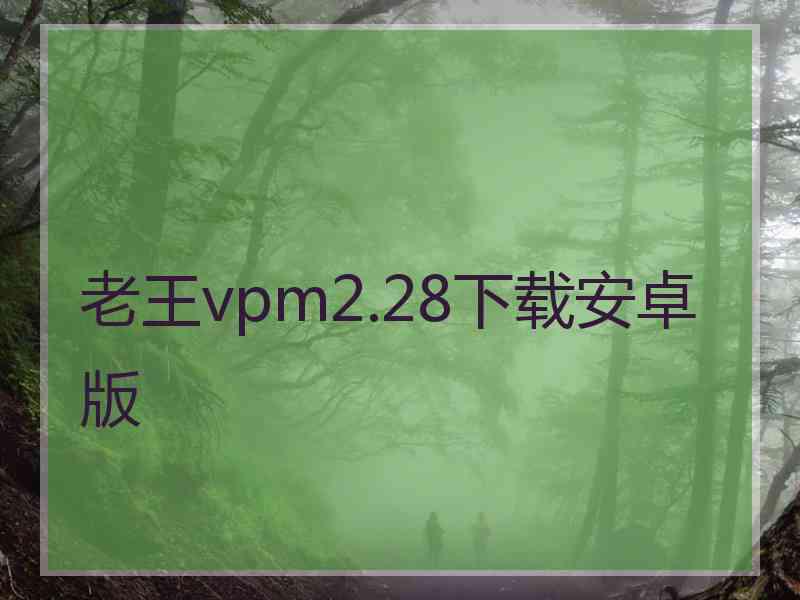 老王vpm2.28下载安卓版