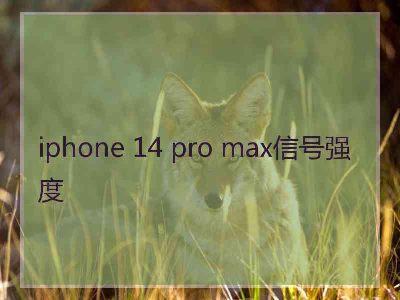 iphone 14 pro max信号强度