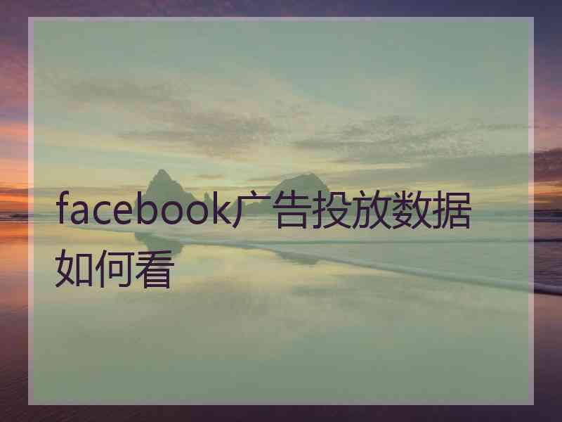 facebook广告投放数据如何看