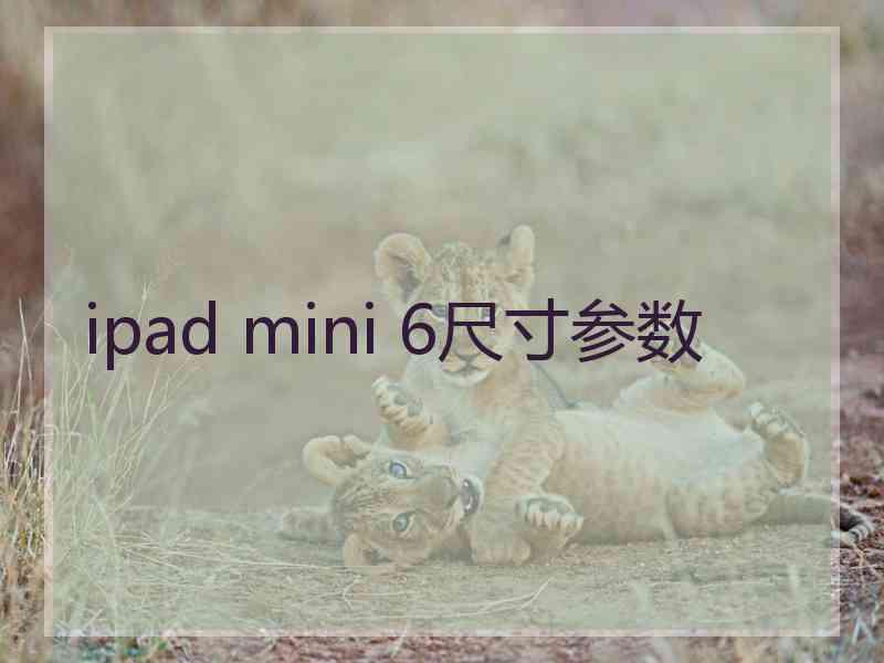 ipad mini 6尺寸参数